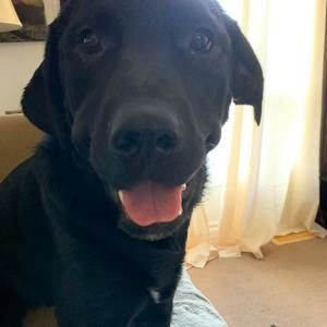 Meet your Posher, Luke